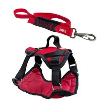 Coleira Peitoral Colete com Guia para Cachorro Tamanhos variados