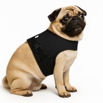 Coleira Peitoral Com Guia Para Cachorro Ajustável Confortável Passeio Pet Skapetshop Coleira Peitoral Com Guia Para Cachorro Ajustável Confortável Passeio Pet Skapetshop