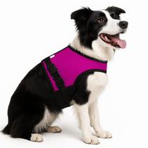 Coleira Peitoral Com Guia Para Cachorro Ajustável Confortável Passeio Pet Skapetshop