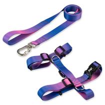 Coleira Peitoral Com Guia Para Cachorro Cães Basic Pet