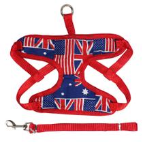 Coleira Peitoral Com Guia Para Cachorros de Pequeno Porte Coleira Peitoral Com Guia Para Cachorros de Pequeno Porte