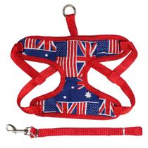 Coleira Peitoral Com Guia Para Cachorros Pet De Porte Pequeno Vermelho Coleira Peitoral Com Guia Para Cachorros Pet De Porte Pequeno Vermelho