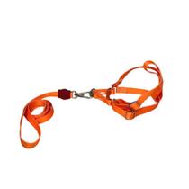 Coleira Peitoral Neon Para Cães Americano 15Mm - Laranja Nº1