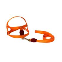 Coleira Peitoral Neon Para Cães Tradicional 15Mm Laranja Nº5