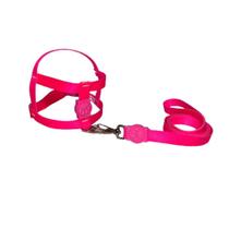 Coleira Peitoral Neon Para Cães Tradicional 15Mm - Rosa Nº3