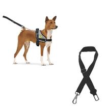 Coleira Peitoral Para Cachorro Com Cinto De Segurança Universal Guia Ajustável Resistente Confortável Pitbull Golden