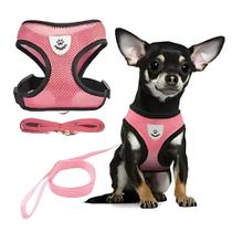 Coleira Peitoral Para Cachorro Gato Colete Refletivo Guia - Rosa M Coleira Peitoral Para Cachorro Gato Colete Refletivo Guia - Rosa M