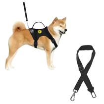 Coleira Peitoral Para Cachorro Grande + Cinto De Segurança Universal Com Guia Reforçada Ajustável Pitbull Husky Golden Coleira Peitoral Para Cachorro Grande + Cinto De Segurança Universal Com Guia Reforçada Ajustável Pitbull Husky Golden