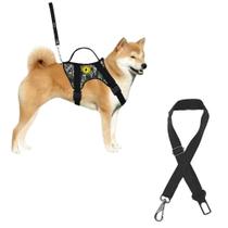 Coleira Peitoral Para Cachorro Grande + Cinto De Segurança Universal Com Guia Reforçada Ajustável Pitbull Husky Golden