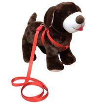 Coleira Peitoral Para Cachorro - Laranja Nº 0 Coleira Peitoral Para Cachorro - Laranja Nº 0