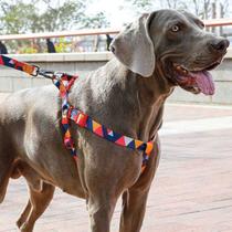 Coleira Peitoral para cachorro MADOG Triângulos