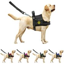 Coleira Peitoral Para Cachorro Pet Com Bolso Guia Ajustável Reforçada Confortável Pitbull Golden Doberman
