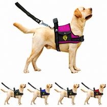 Coleira Peitoral Para Cachorro Pet Com Bolso Guia Ajustável Reforçada Confortável Pitbull Golden Doberman