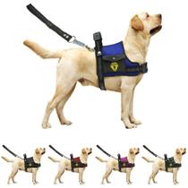 Coleira Peitoral Para Cachorro Pet Com Bolso Guia Ajustável Reforçada Confortável Pitbull Golden Doberman