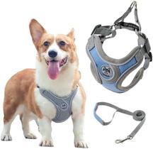 Coleira Peitoral para Cachorros Ajustável com Guia de Passeio Coleira Peitoral para Cachorros Ajustável com Guia de Passeio