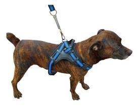 Coleira Peitoral Personalizada Pit Bull Pet