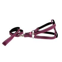 Coleira Peitoral Riscadinho Americano - Roxo Nº 02 Coleira Peitoral Riscadinho Americano - Roxo Nº 02