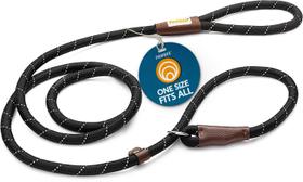 Coleira Slip Lead PAWBEE de 6 pés de comprimento para cães grandes e pequenos
