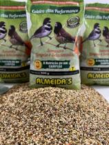 Coleiro Alta Performance - 500g - Almeidas