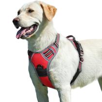 Colete de serviço Eagloo No Pull Dog Harness Reflective Red L