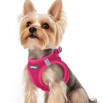 Colete Dog Harness Rabbitgoo Step-in Soft Mesh Puppy XS Colete Dog Harness Rabbitgoo Step-in Soft Mesh Puppy XS