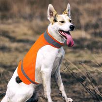 Colete para cães DQGHQME Blaze Orange High Visibility para cães GG