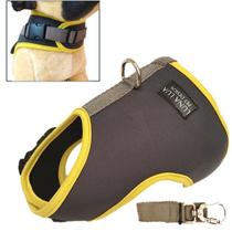 Colete Peitoral Pet Neoprene c/ Guia Cachorro Ou Filhotes