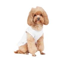 Colete Saia Para Pets Respirável De Cor Sólida Primavera Verão Modelo Fino Com Bainha De Folha De