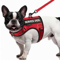 Colete Service Dog FAYOGOO Air Mesh para cães pequenos com adesivos Colete Service Dog FAYOGOO Air Mesh para cães pequenos com adesivos