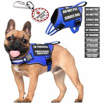 Colete Service Dog MOOGROU com etiqueta de identificação e 10 adesivos azul S Colete Service Dog MOOGROU com etiqueta de identificação e 10 adesivos azul S