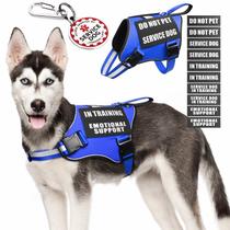 Colete Service Dog MOOGROU com etiqueta de identificação e 10 adesivos Blue M