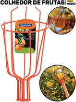 Colhedor De Frutas Pequenas Tramontina 15 Pol Sem Cabo P/ Maçãs Laranjas E Árvores Frutíferas Colhedor De Frutas Pequenas Tramontina 15 Pol Sem Cabo P/ Maçãs Laranjas E Árvores Frutíferas
