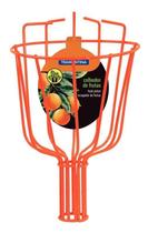 Colhedor De Frutas S/ Cabo Tramontina Laranja