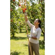 Colhedor Frutas Pequeno Aço Leve C/ Encaixe Cabo Colhedor Frutas Pequeno Aço Leve C/ Encaixe Cabo