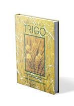 Colhendo o Trigo - Vol. 2: Estudos sobre os Livros dos Profetas Maiores e Menores