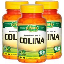 Colina Vitamina B8 60 cápsulas Kit com 3 Colina Vitamina B8 60 cápsulas Kit com 3