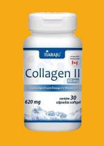 Collagen II 40mg(colágeno tipo 2) UCII articulacoes ligamentos