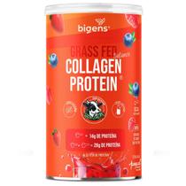 Collagen Protein Grass Fed Balance 28g Proteína Colágeno Premium Pepcol Frutas Vermelhas 560g Bigens
