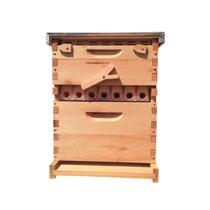 Colmeia Automática Mauá c/ 7 Autoframes Colmeia Automática Mauá c/ 7 Autoframes