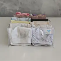 Colmeia transparente 12 nichos