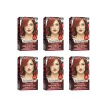 Coloraçao Beauty Color 77.44 Paixao Em Carmim - Kit C/6Un Coloraçao Beauty Color 77.44 Paixao Em Carmim - Kit C/6Un