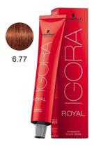 Coloração Igora Royal 6-77 Louro Escuro Cobre Extra 60g