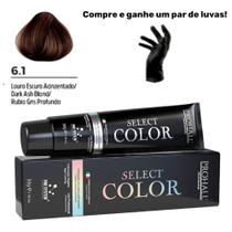 Coloração Permanente Select Color Nº6.1 Louro Escuro Acinzentado Prohall 50g