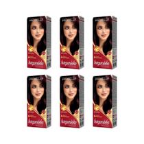 Coloraçao Probelle Burguesinha 3.66 Casta Esc Verm Inten-6Un Coloraçao Probelle Burguesinha 3.66 Casta Esc Verm Inten-6Un