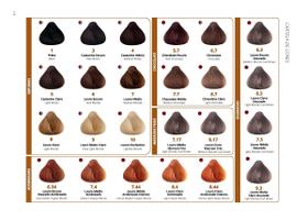 Coloração Riviera 60g
