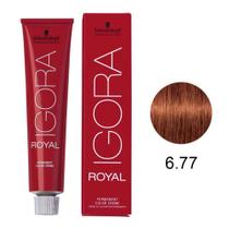 Coloração Schwarzkopf Igora 6-77 Louro Escuro Cobre Extra