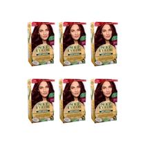 Coloraçao Soft Color 4465 Ameixa-Kit C/6Un