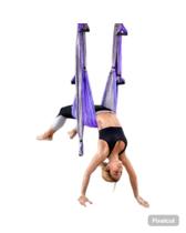 Columpio Pilates Aéreo / Roxo com Pink