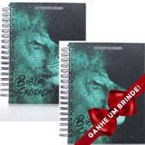 Combo 2 Bíblias Sagradas Anote Leão Azul Espiral Com Espaço Para Anotações Letra Normal Capa Dura Cristã Evangélica Gospel Índice Crente Femin