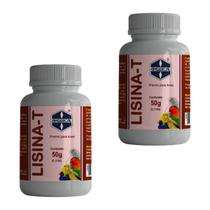 Combo 2 Lisina-T Amgercal Premix para Aves - 50 g